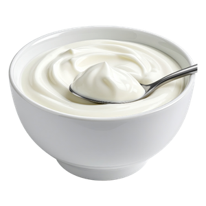 92 Plain Yogurt